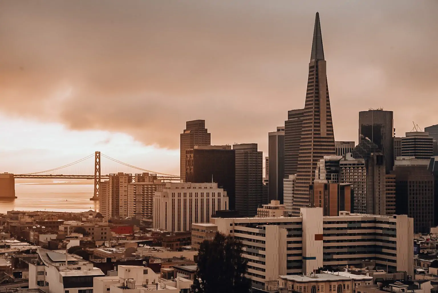 North Beach HR Consulting