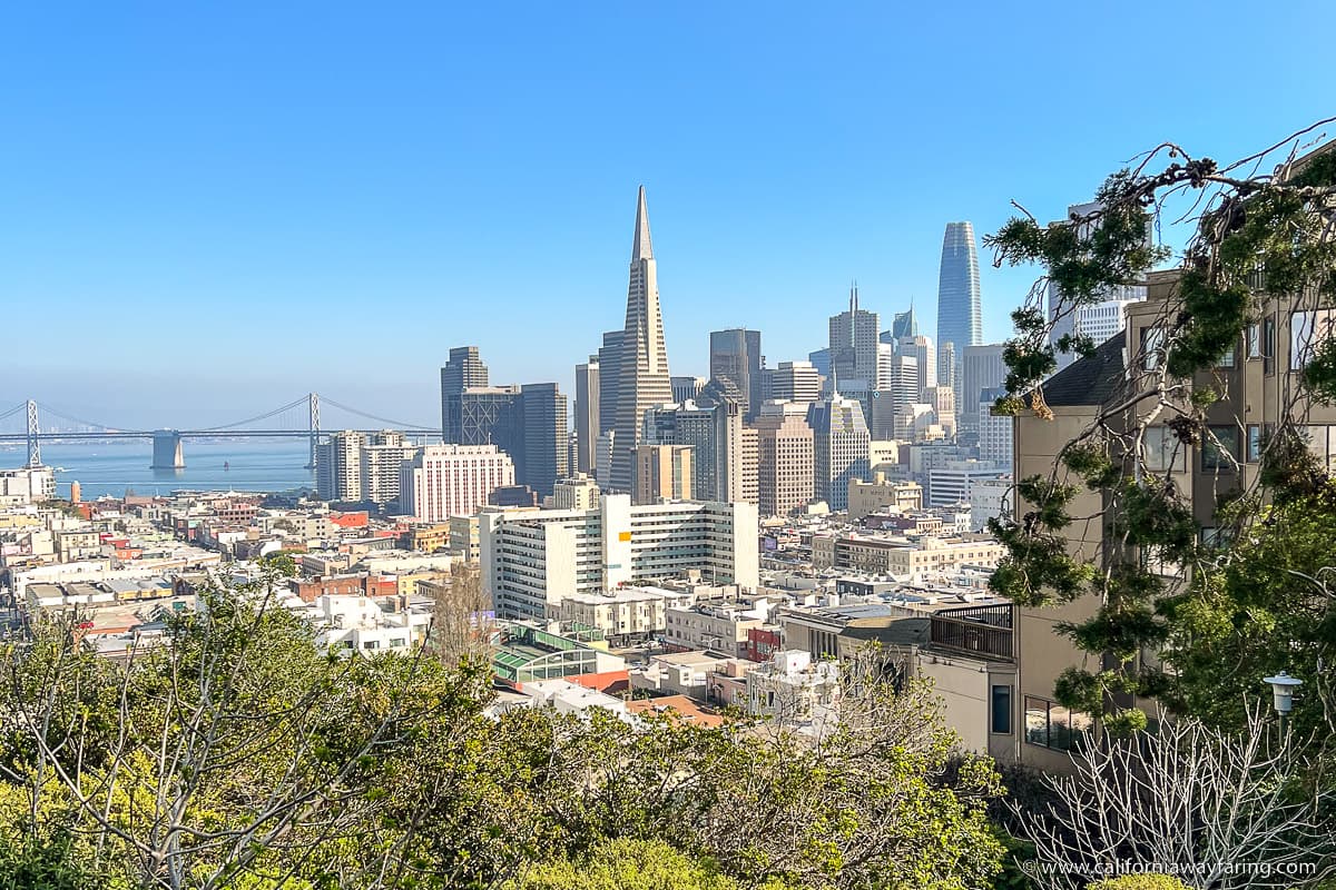 Russian Hill HR Consulting